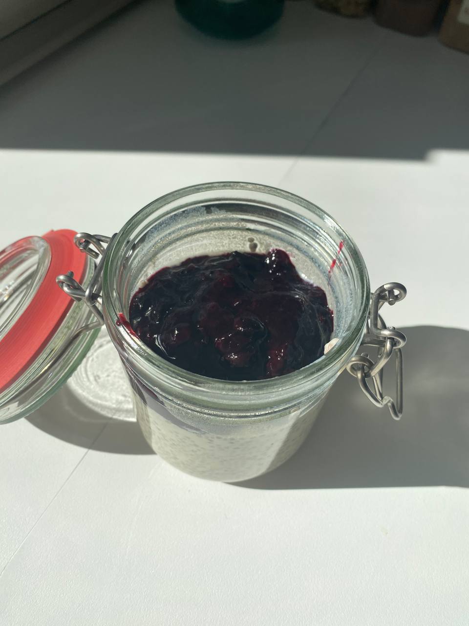 Blauwe Bessen Chia Havermout Pudding