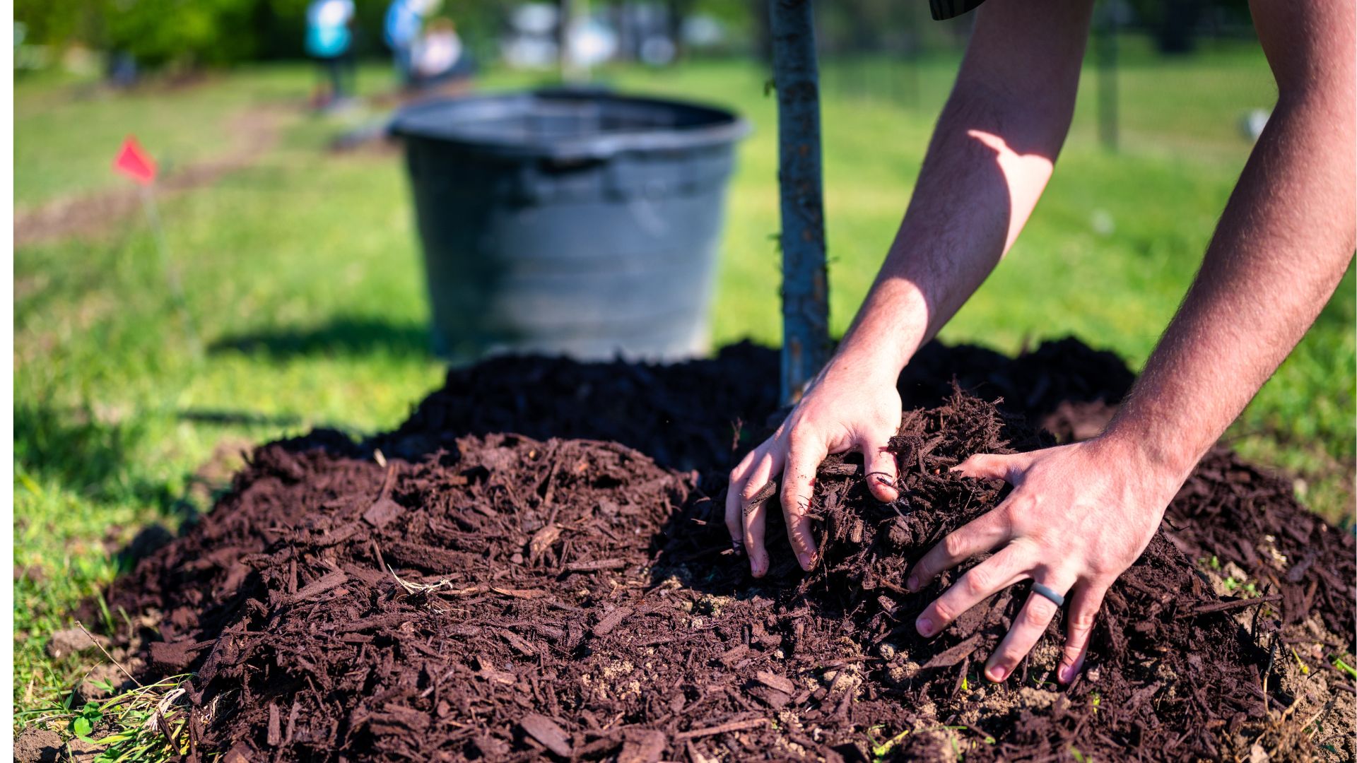 Dirt, Dollars,& Dog TreatsA Multi-Sensory, ADHD-Friendly Approach to Real-World Learning with Gardening, Financial Literacy & ELA (Without Boring Anyone to Death)