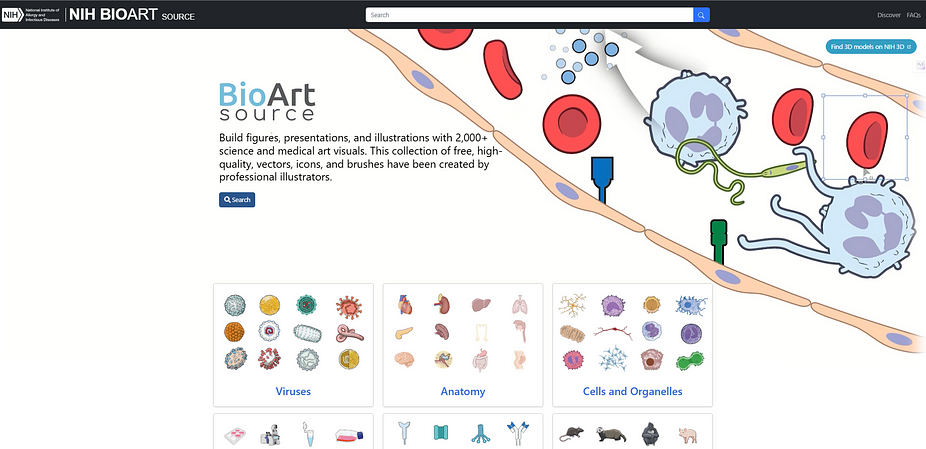 5 Top Free Alternatives to BioRender for Scientific Illustrations