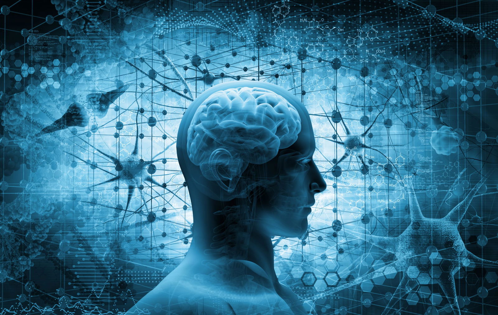 Ce este inteligența: definiție și caracteristici. 8 tipuri de inteligență