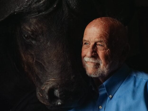 Dementa Alzheimer – Simptome, Diagnostic si Tratament