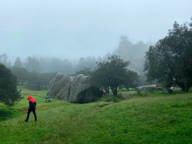 Psihanaliza Jungiana