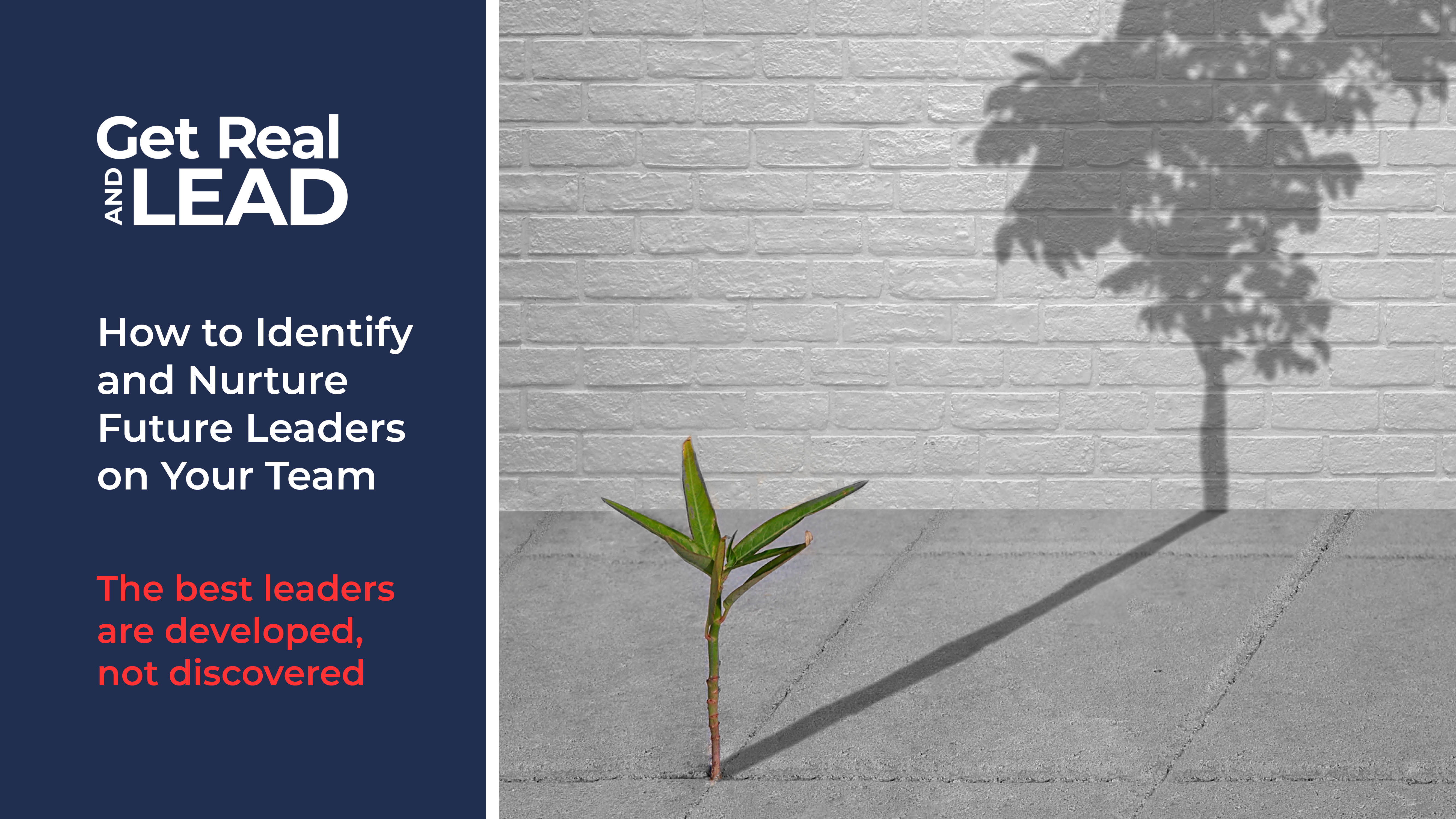 How to Identify and Nurture Future Leaders on Your Team