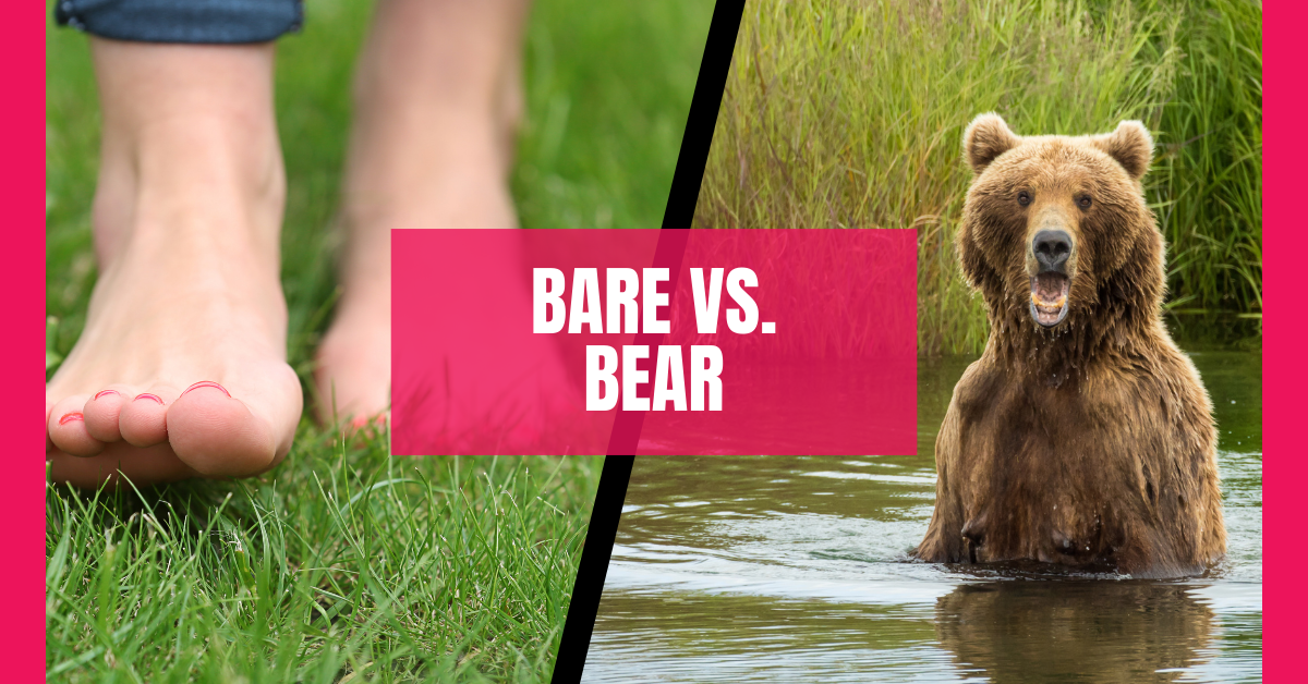 Bare vs. Bear: How to Master These Commonly Confused Words