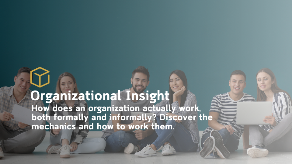 Organizational Insight