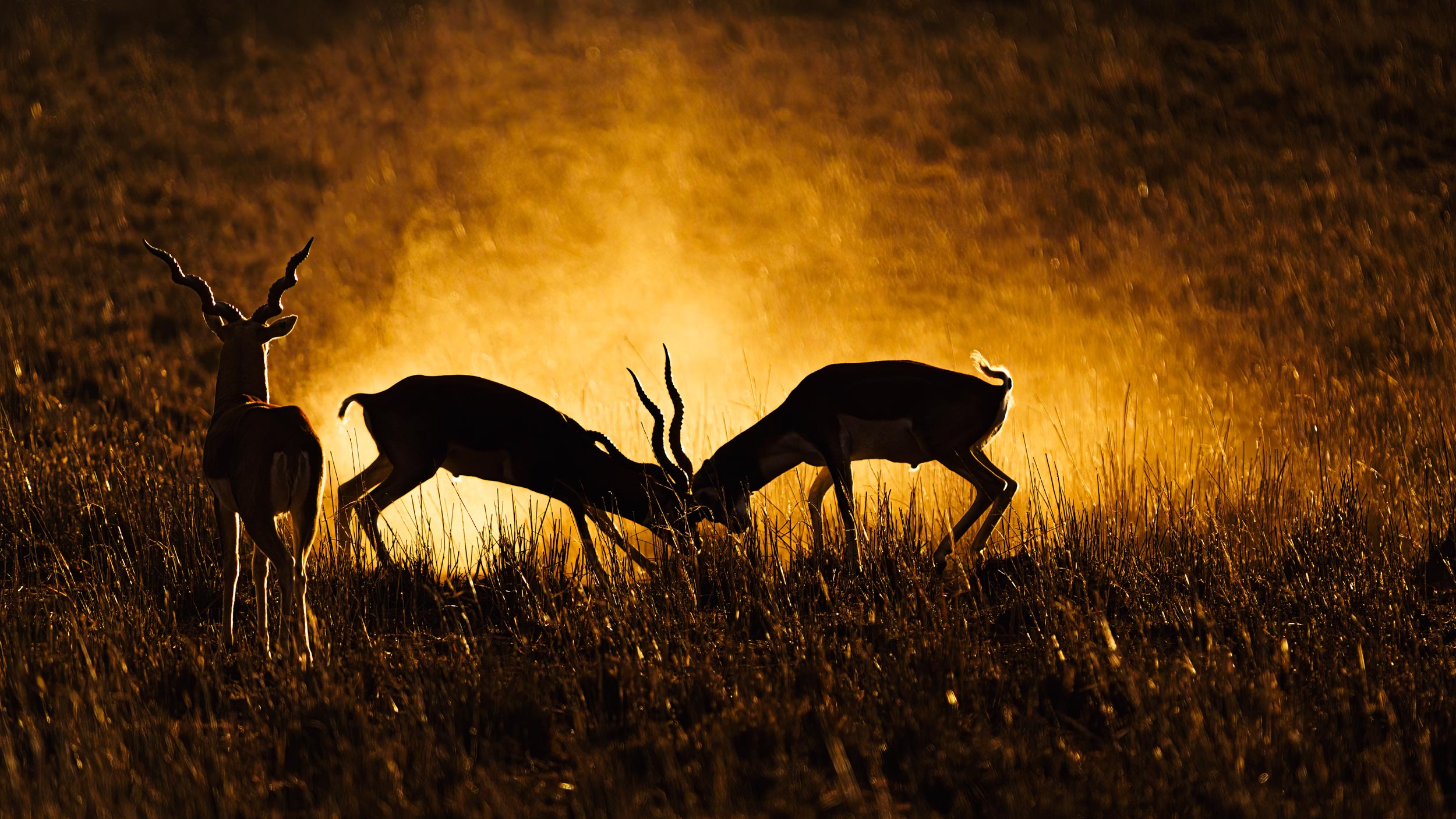 Adventure art photography