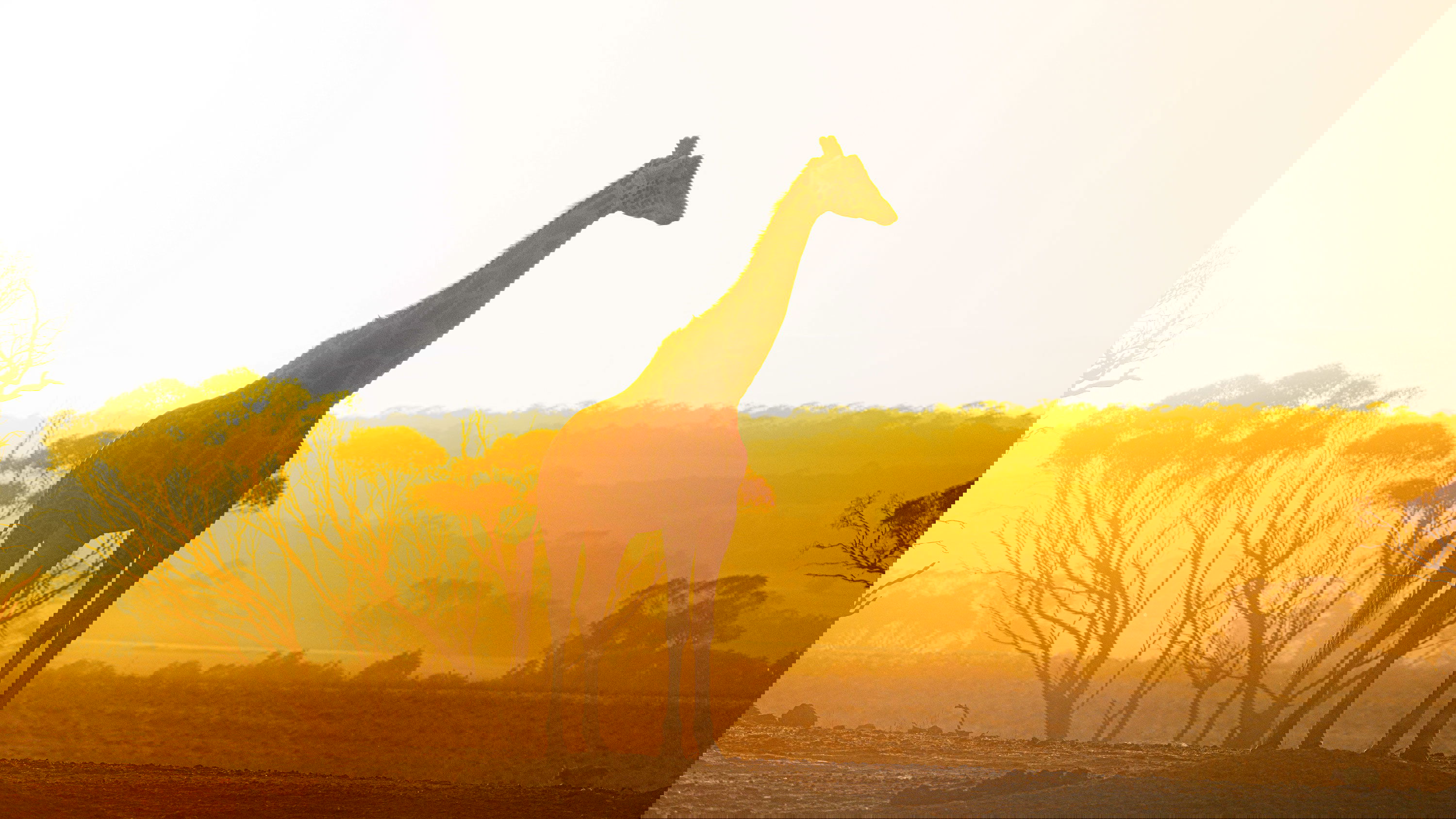 Adventure art photography