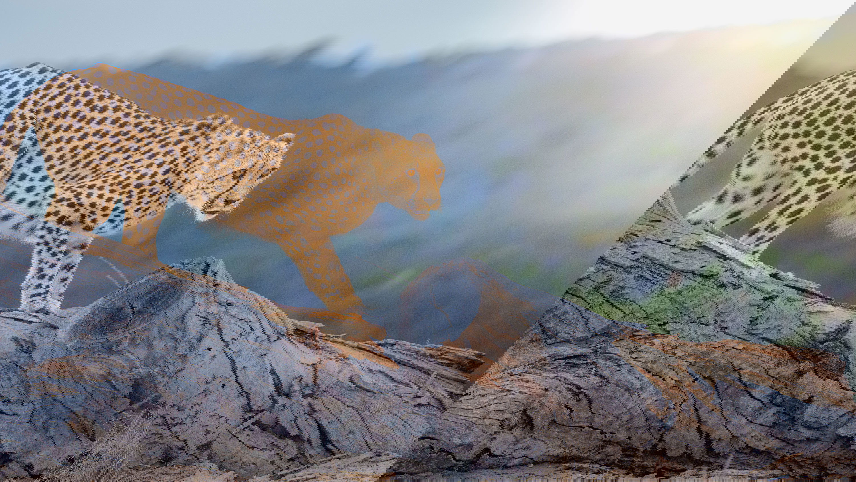 Adventure art photography