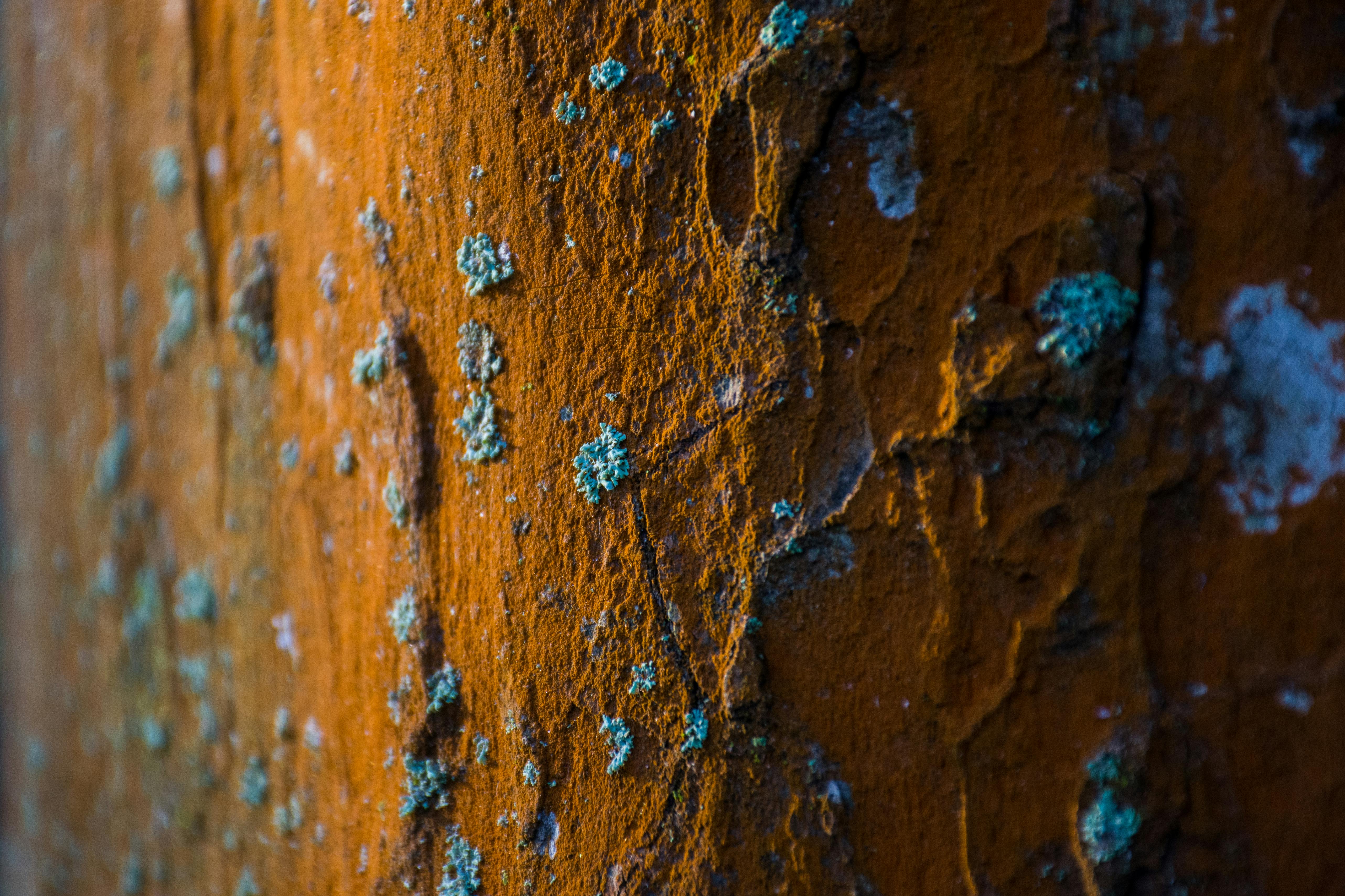 Complete Dictionary of Corrosion Engineering Terms