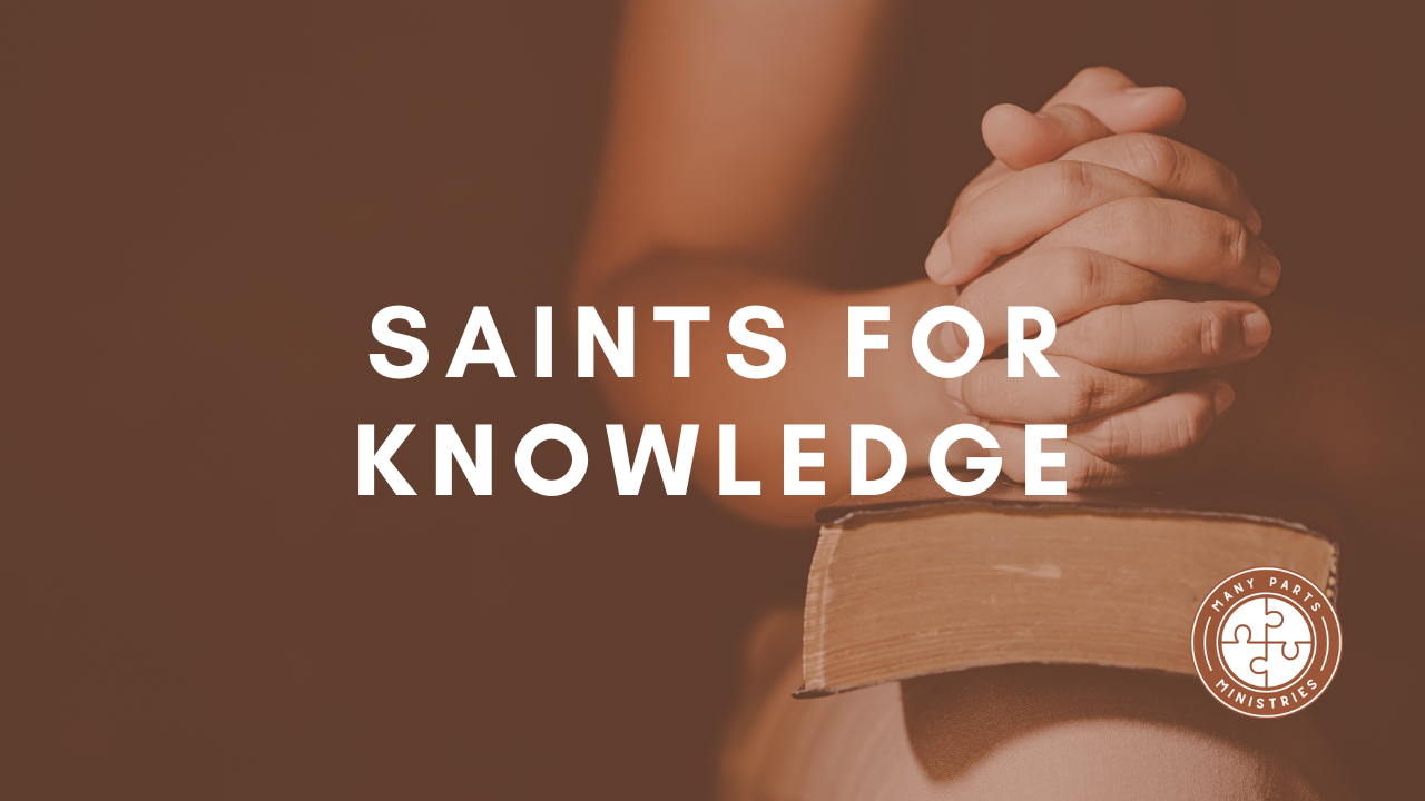 Saints for Knowledge: Illuminating the Charism of Knowledge