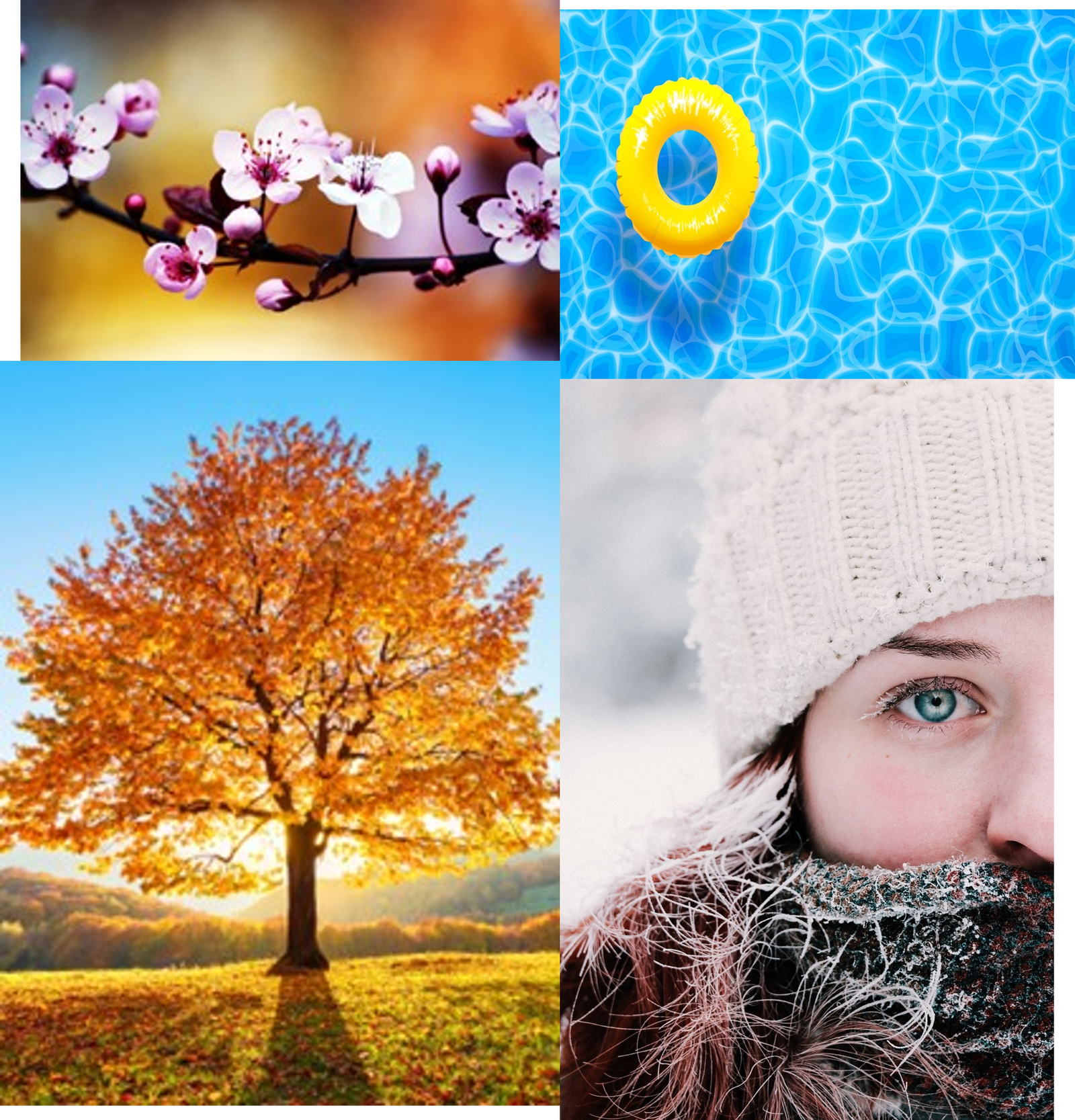 Is There Seasonality for Foundation Movement?