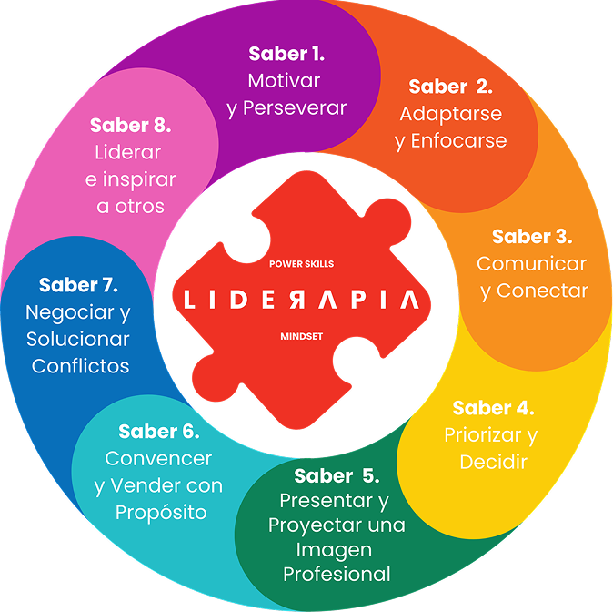 El Sistema Puzzle de Liderapia