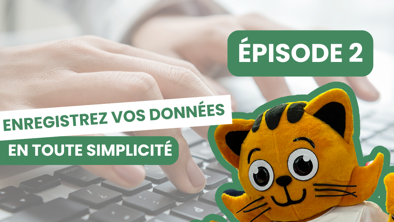 La saisie de vos données dans LOCKimmo.io (40min)