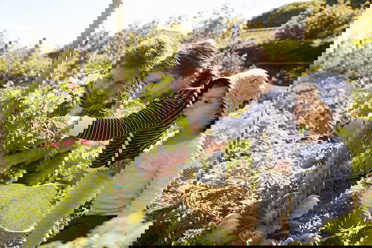 If There was a user manual to home-schooling... How do children learn?